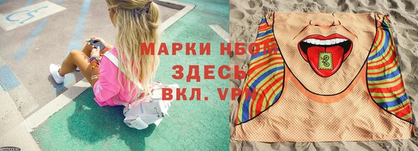 индика Красноперекопск