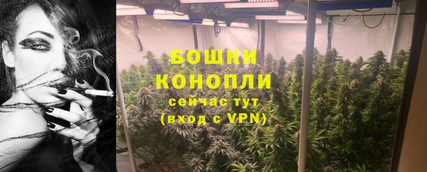 МДПВ Костерёво