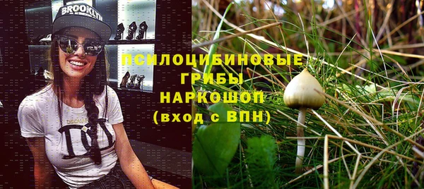 ALPHA PVP Корсаков