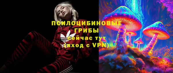 a pvp Коряжма