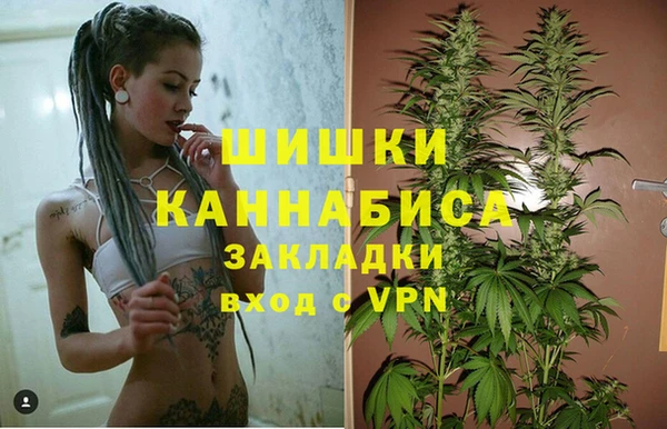 2c-b Козловка