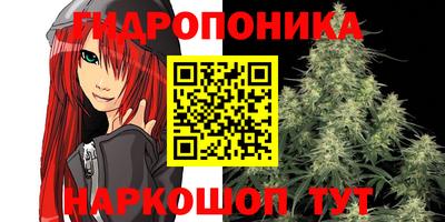 стафф Апшеронск