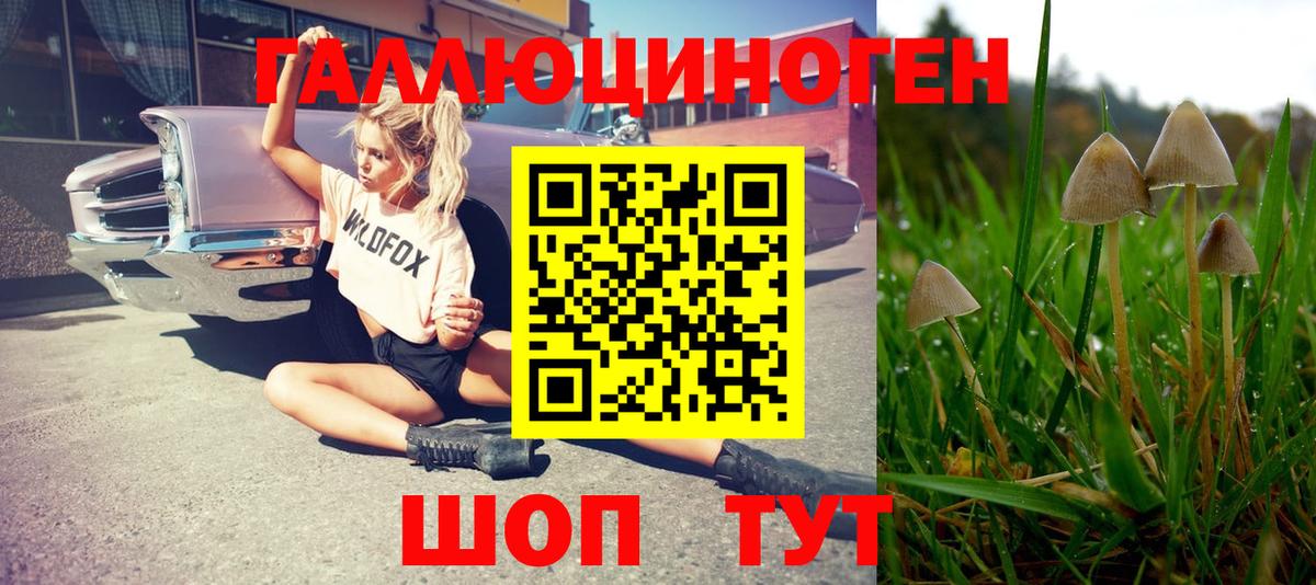 Псилоцибиновые грибы прущие грибы  Малгобек 