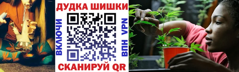 Шишки марихуана планчик Малгобек